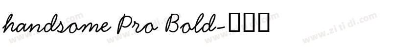 handsome Pro Bold字体转换